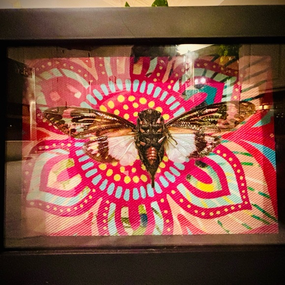 Blue Cicada Set - Picture 2 of 4